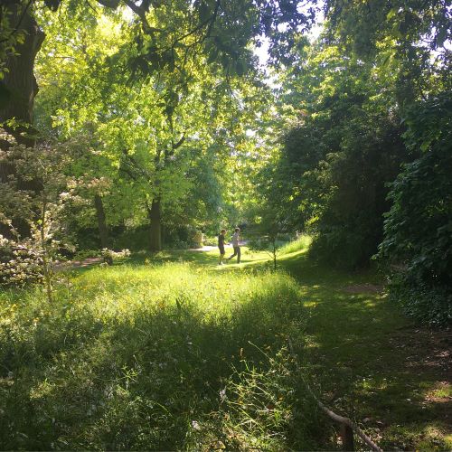 two people walking through the trees in Royal Fort garden